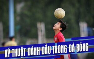 Cách Dứt Điểm Sân 5: Bí Kíp Ghi Bàn Cho Cầu Thủ Futsal Nghiệp Dư